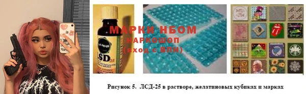 PSILOCYBIN Балахна