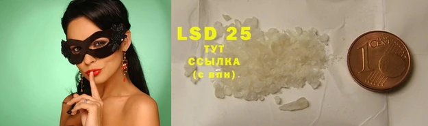 PSILOCYBIN Балахна