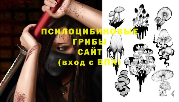 сатива Балабаново