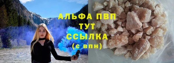 PSILOCYBIN Балахна