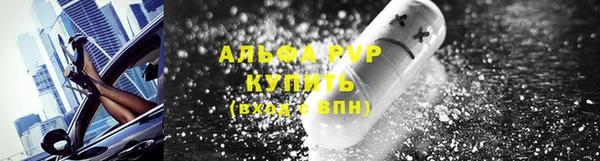 мяу мяу мука Баксан