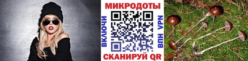 Псилоцибиновые грибы прущие грибы Ленск